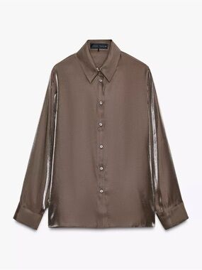 Iridescent Brown Button-Down Blouse